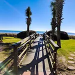 Palms 1006