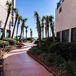 Palms 1006