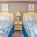 Direct Oceanfront Studio With Beautiful Updates! Sea Mist Resort 20709 Queen Beds - Full Kitchen!