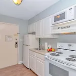 Renovated And Modern! Beautifully Updated Queen Suite! Sea Mist Resort 50410 Perfect For 2-4 Guests!