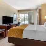Comfort Suites Myrtle Beach Central