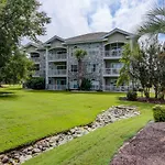 Magnolia 203