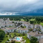 Magnolia 203