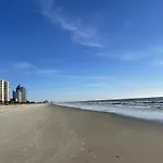 Blue Palmetto Vacation Rentals