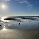 Blue Palmetto Vacation Rentals