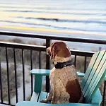Oceanfront 3Br/2Ba Dog Friendly