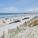 Sea Star In Cherry Grove