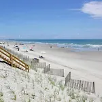 Sea Star In Cherry Grove