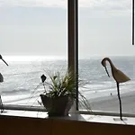 Camelot By The Sea, Unit 601, 3 Bedroom, 2 Bath, Direct Ocean Front, Park On Same Level As Condo