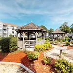 Arcadian Dunes 02-208