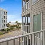 Pelicans Watch 209