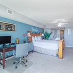 Marvelous King Studio With Marina Views! Yacht Club Villas 1-501 C