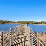 Dougs Dune Destination