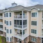 Magnolia Pointe Luster Leaf 4843-302 Condo