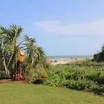 Jade Tree Cove