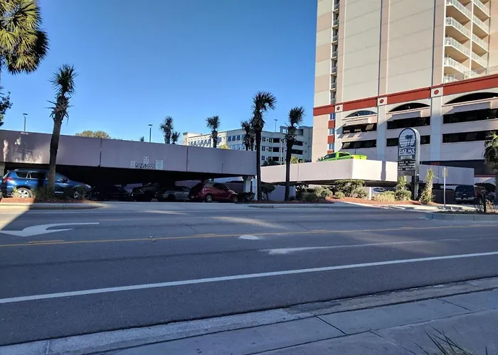 Palms 1006