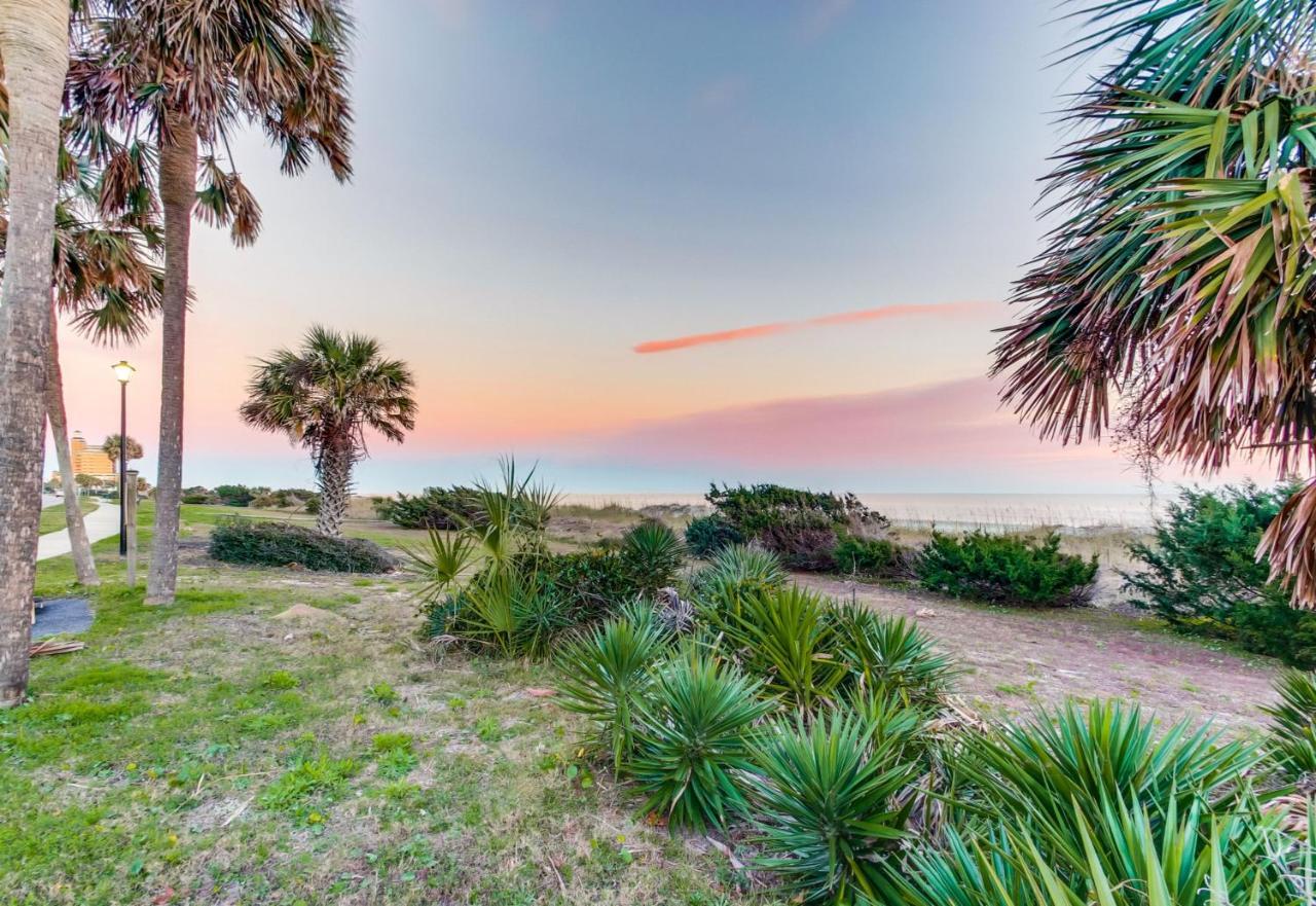 2 Bedroom Ocean Forest Steps Away From Pristine Sandy Beaches Apartment Myrtle Beach