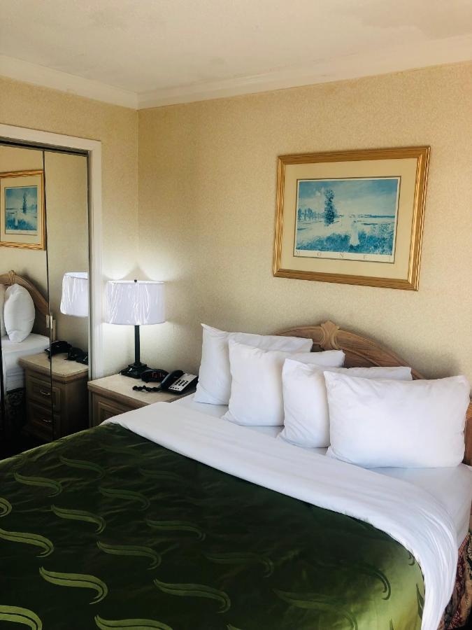 Quail And - Myrtle Hotel Myrtle Beach
