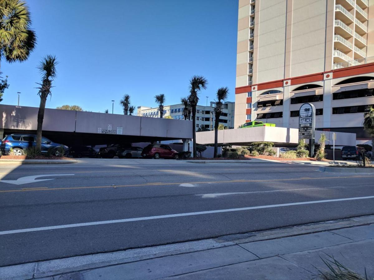 Palms 1006 *
