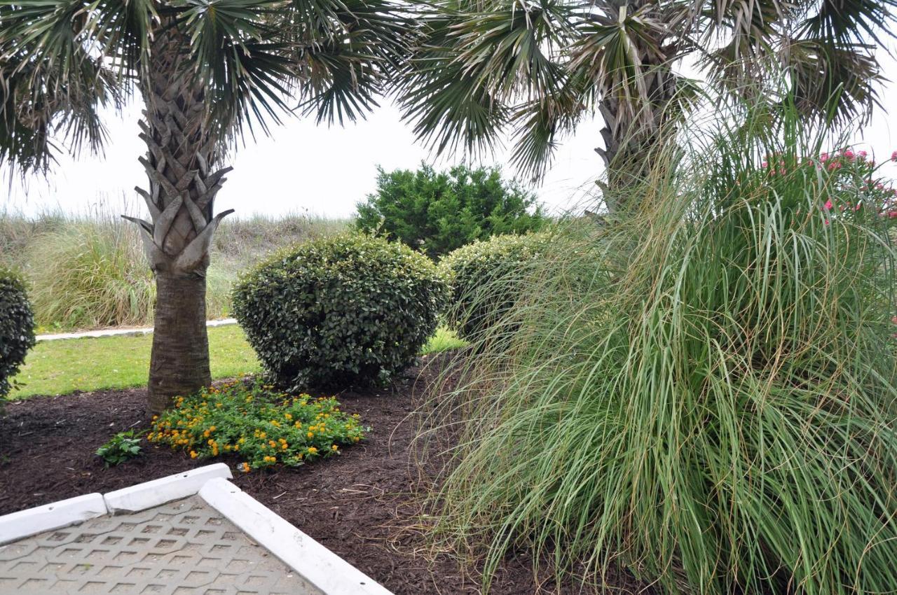 Oceanview 8Br/7Ba Condo With Oceanfront Pool Myrtle Beach
