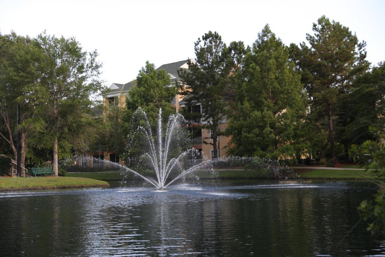 Unit At The Sheraton Broadway Plantation Aparthotel