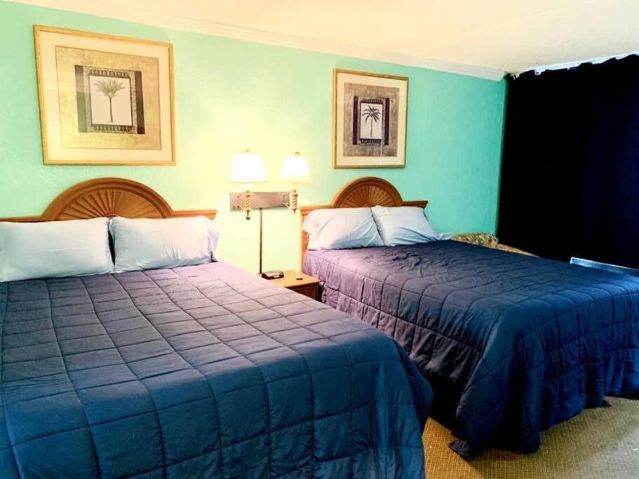 *see Dolphins From Your Balcony*queen Beds*pools*hot Tubs++*h232