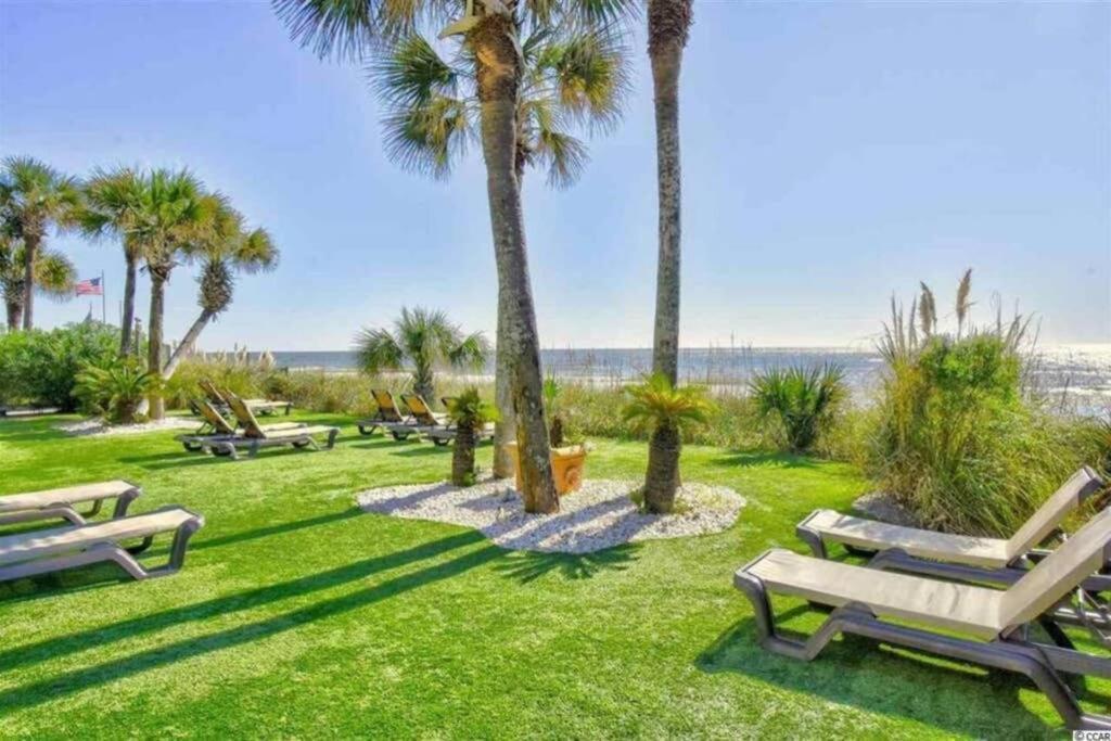 Apartment *see Dolphins From Your Balcony*queen Beds*pools*hot Tubs++*h232 *