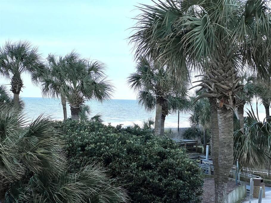 *fresh New*ocean View*pool*king Bed*hot Tubs*approved Dogs*f24 *