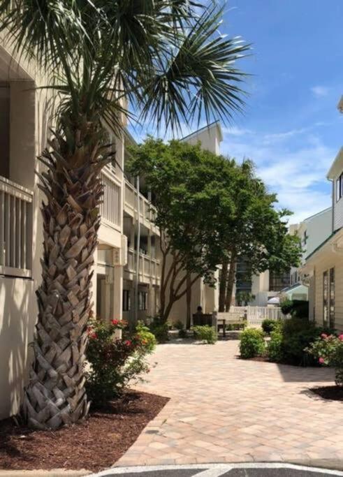 Apartment *delightful Family Retreat*pool, Steps To The Sand*h32-3