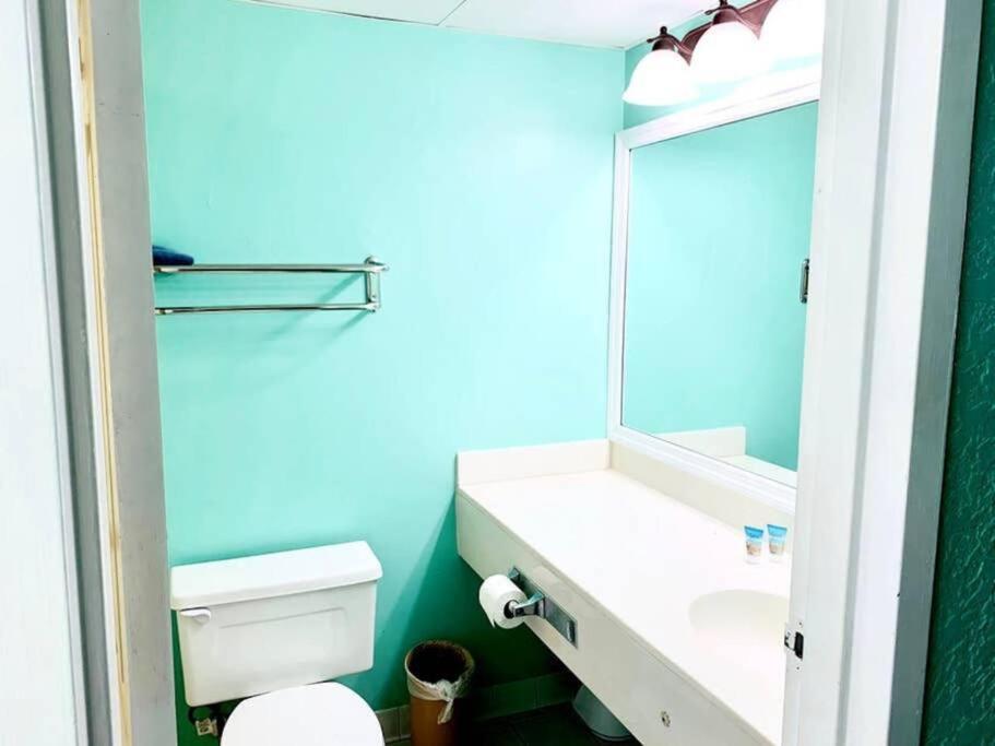 Apartment *see Dolphins From Your Balcony*queen Beds*pools*hot Tubs++*h232