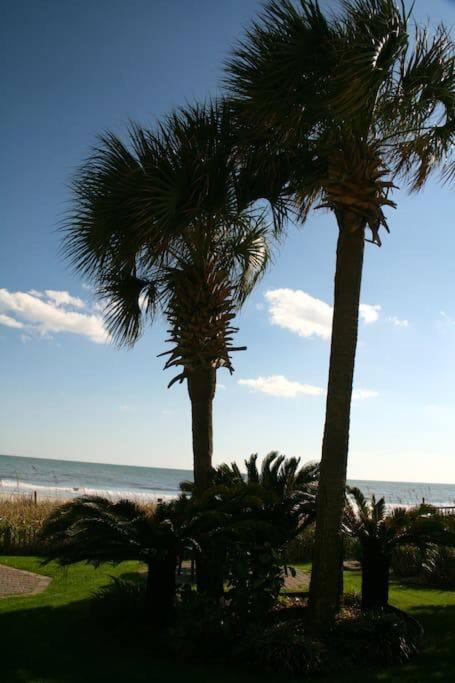 *top Notch Family Space*pool*steps To The Sand*huge Master*wt0 Apartment *
