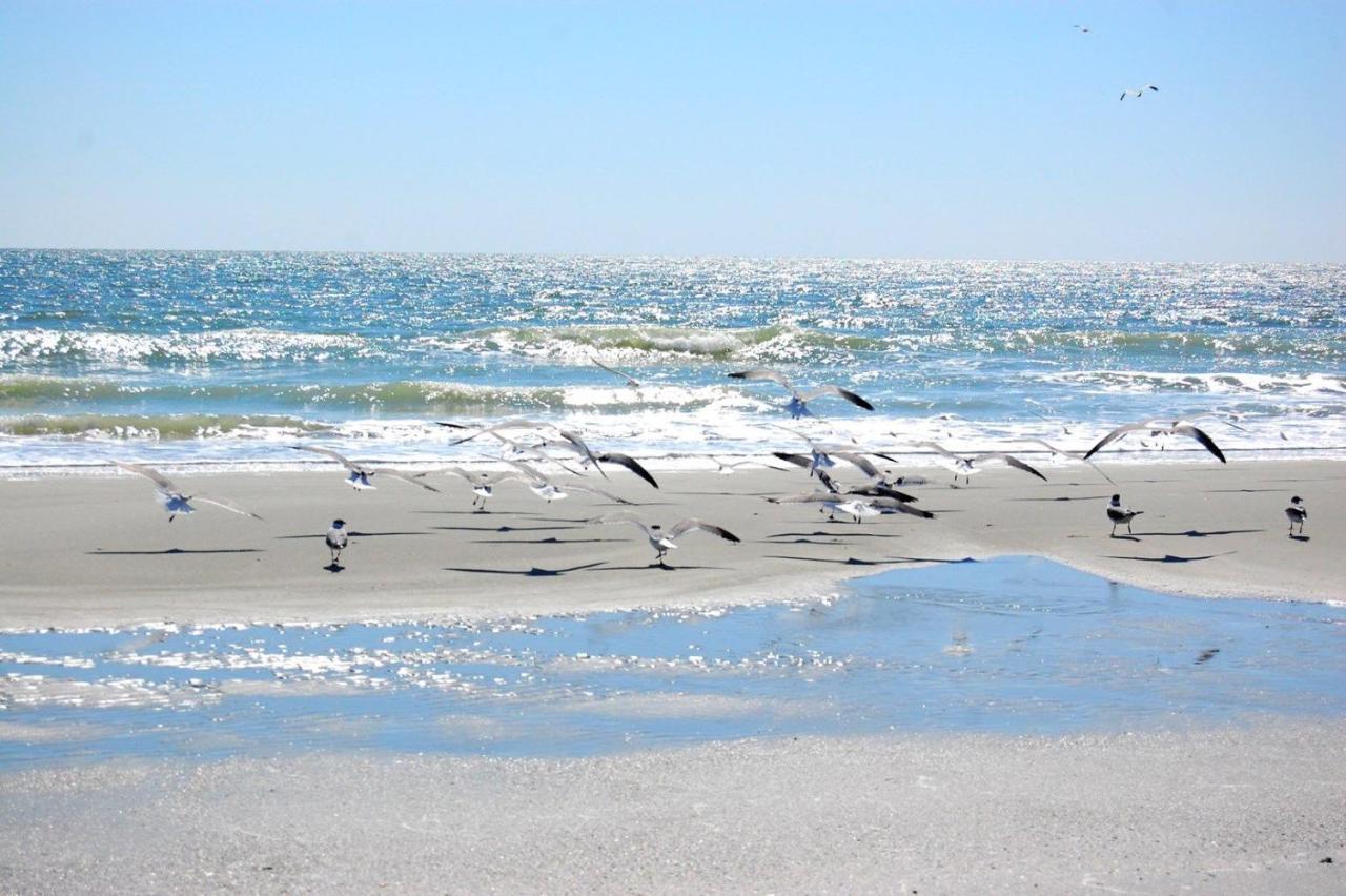 Apartment Mariners Cove 227 C Myrtle Beach
