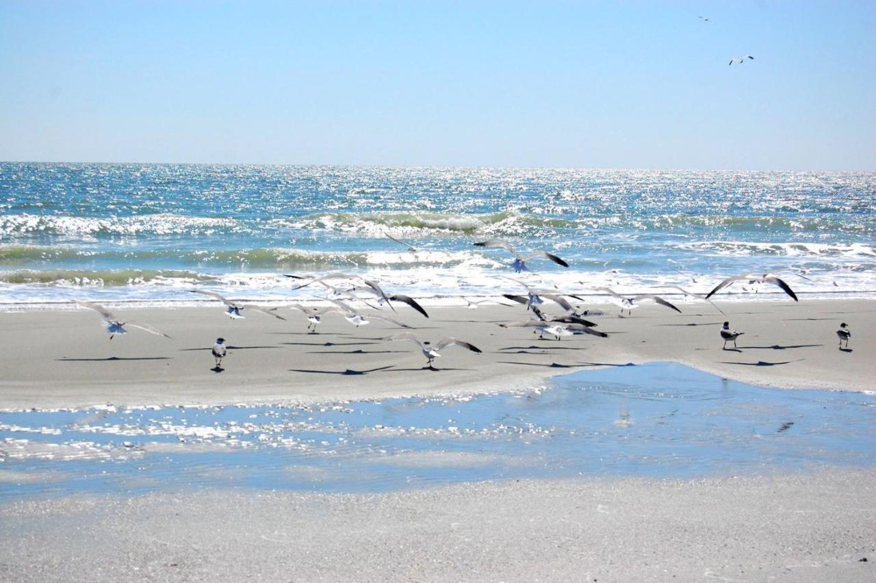 Summer 14 Myrtle Beach