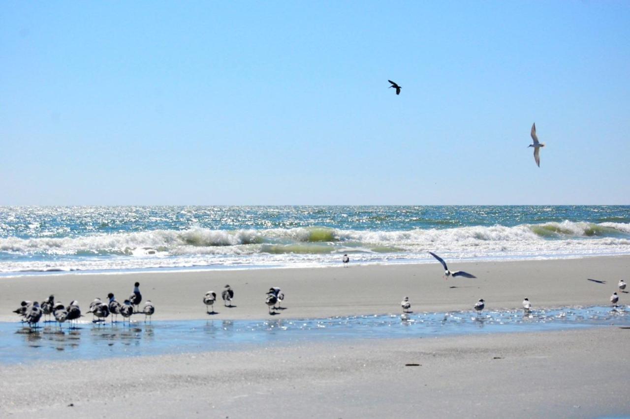 Mariners Cove 335 D Myrtle Beach