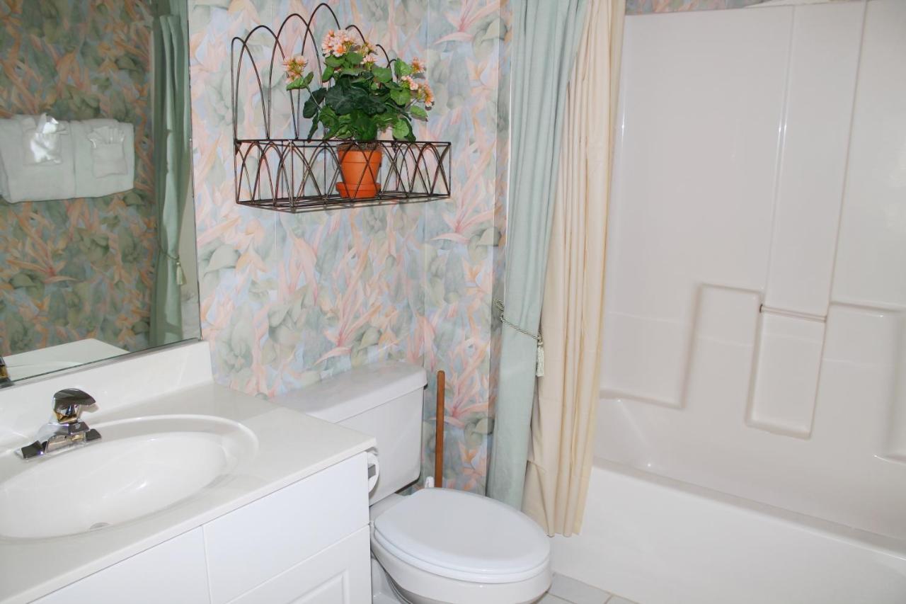 223 Wedgewood