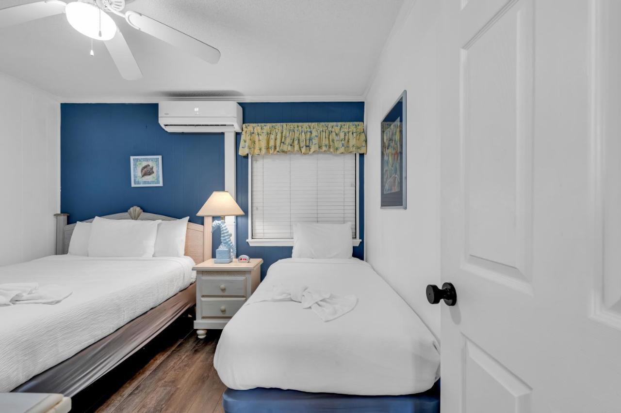 Apartment 2 Bedroom Ocean Forest Steps Away From Pristine Sandy Beaches *