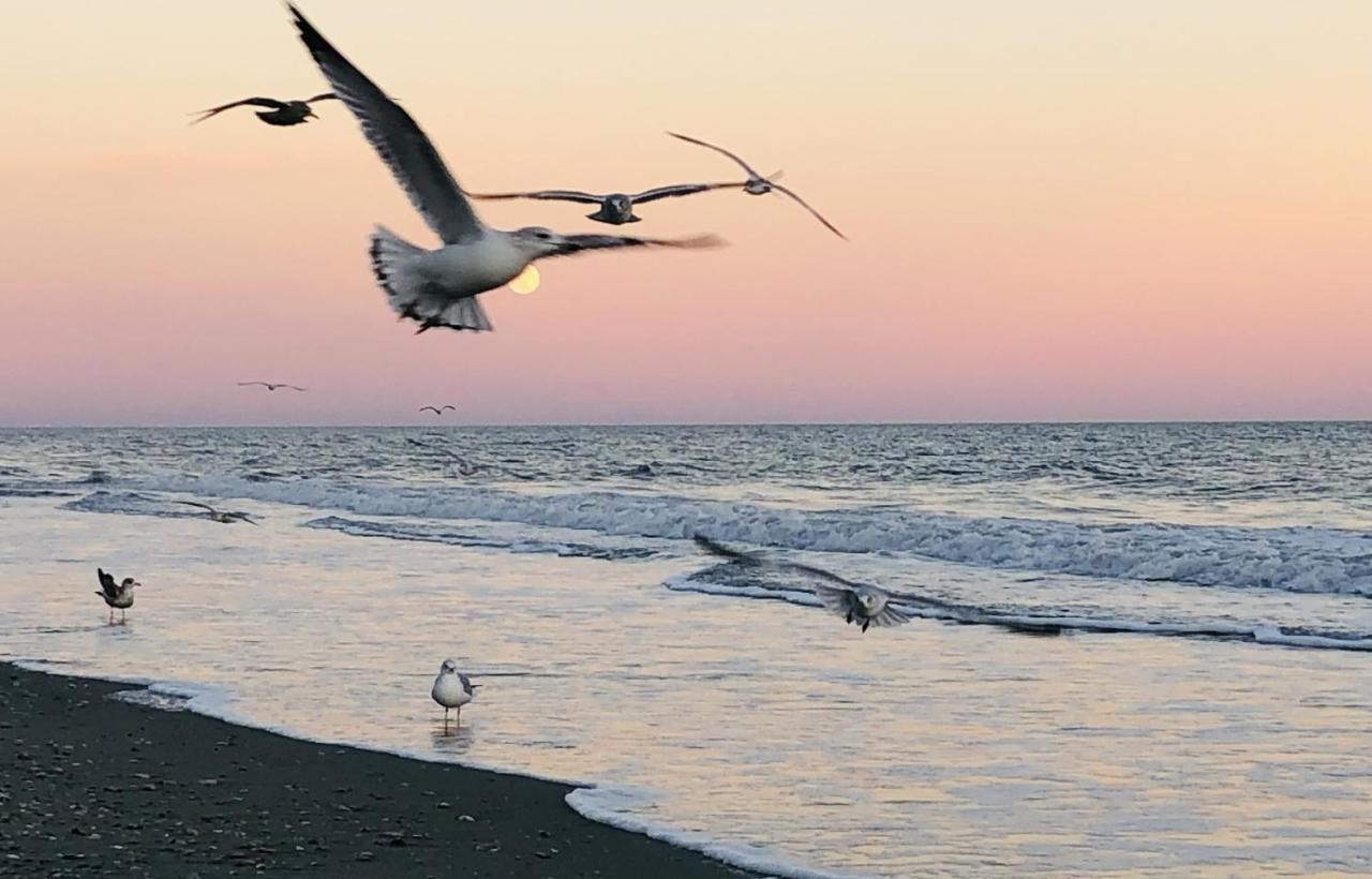 Huge Ocean Front Condo, Amazing Views * Myrtle Beach