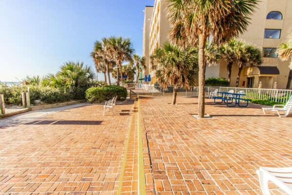 Updated Ocean View Studio- Sea Mist 51403 *