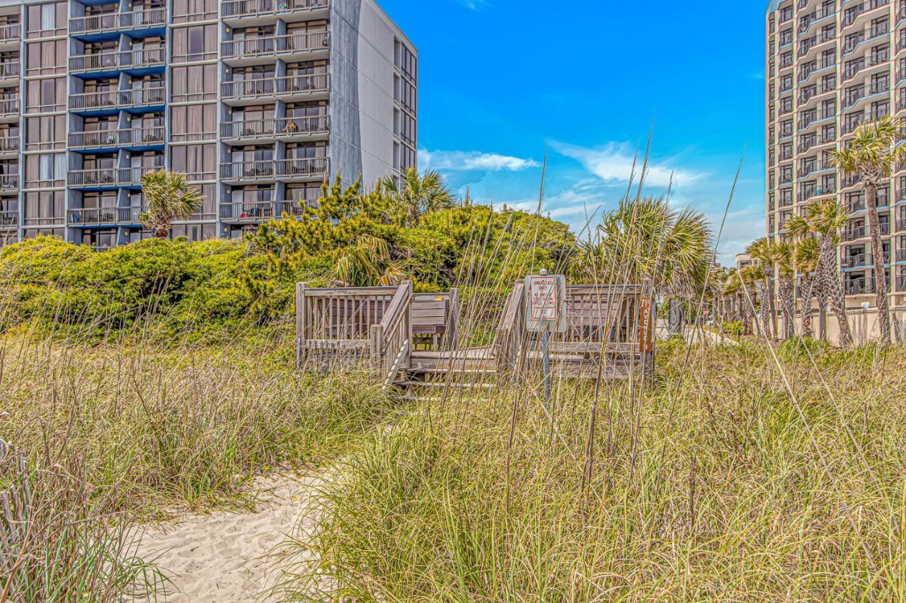Completely Renovated Double Queen Direct Oceanfront - Ocean Reef 1503 Sleeps 4!