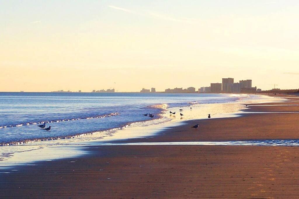 Apartment Mint Mermaid/walk 2 Beach/pets Ok/golf Cart Option Myrtle Beach