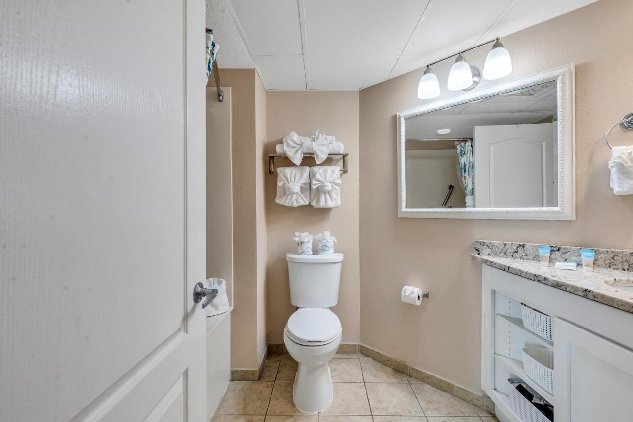 Carolinian Corner Gem Views! Apartment