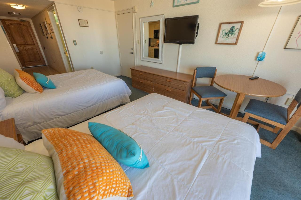 Ocean Annie's Oceanview Studio,scenic Views,pools!