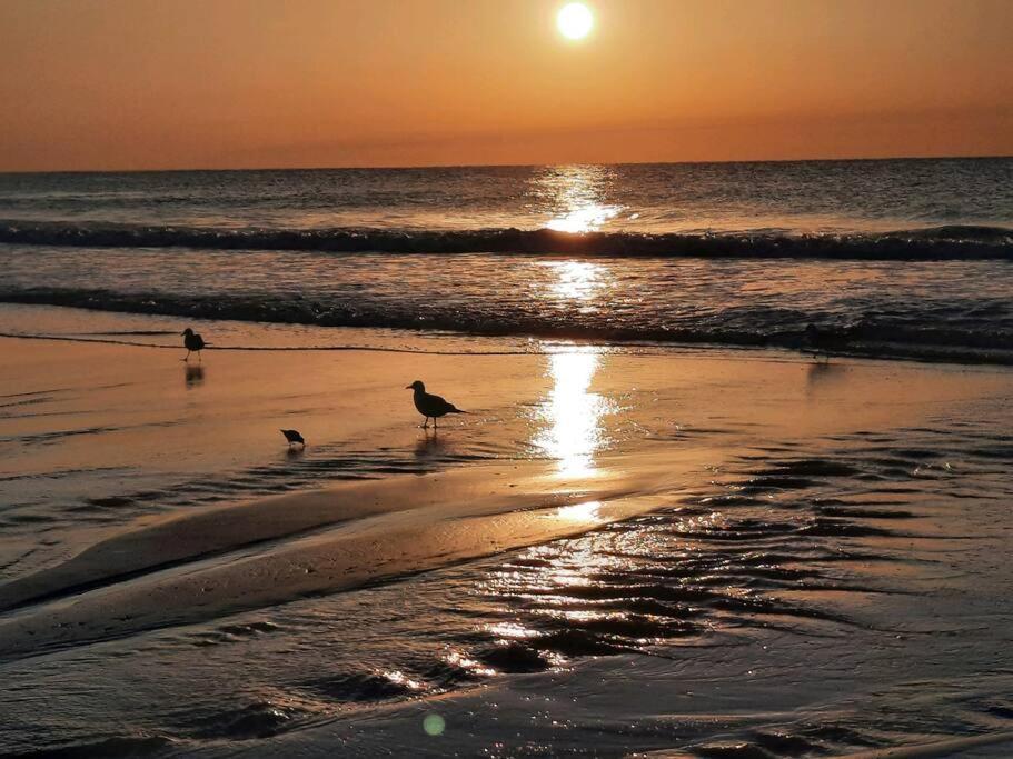 Apartment Beachfront -almost Heaven Oceanfront- Unit C/ 2br 1ba *