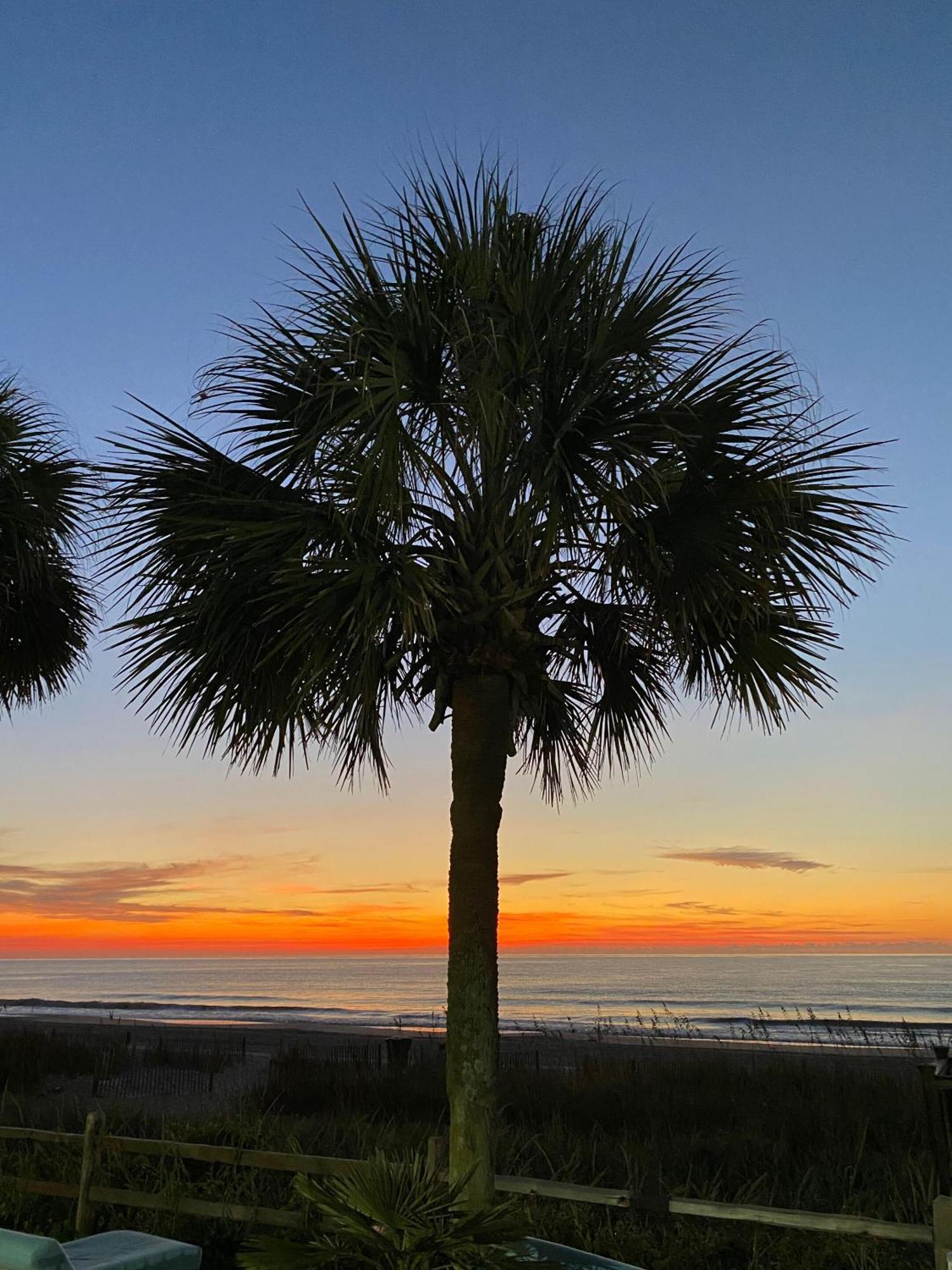 Hotel Blue Palmetto Vacation *