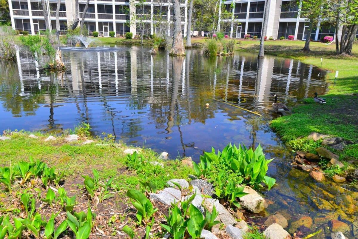 Cherry Grove Close To W Pool * Myrtle Beach