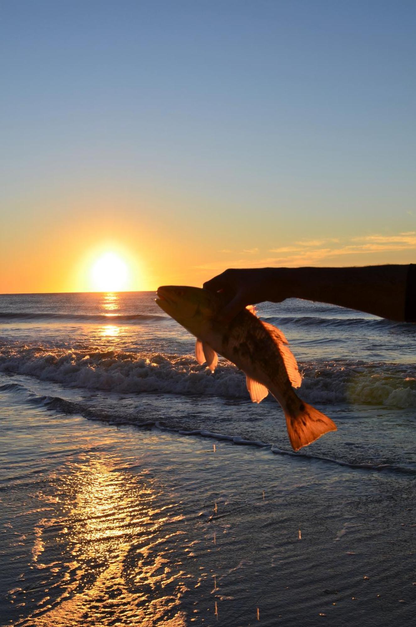 Stunning Oceanfront King On 18th Floor Centrally Located Myrtle Beach