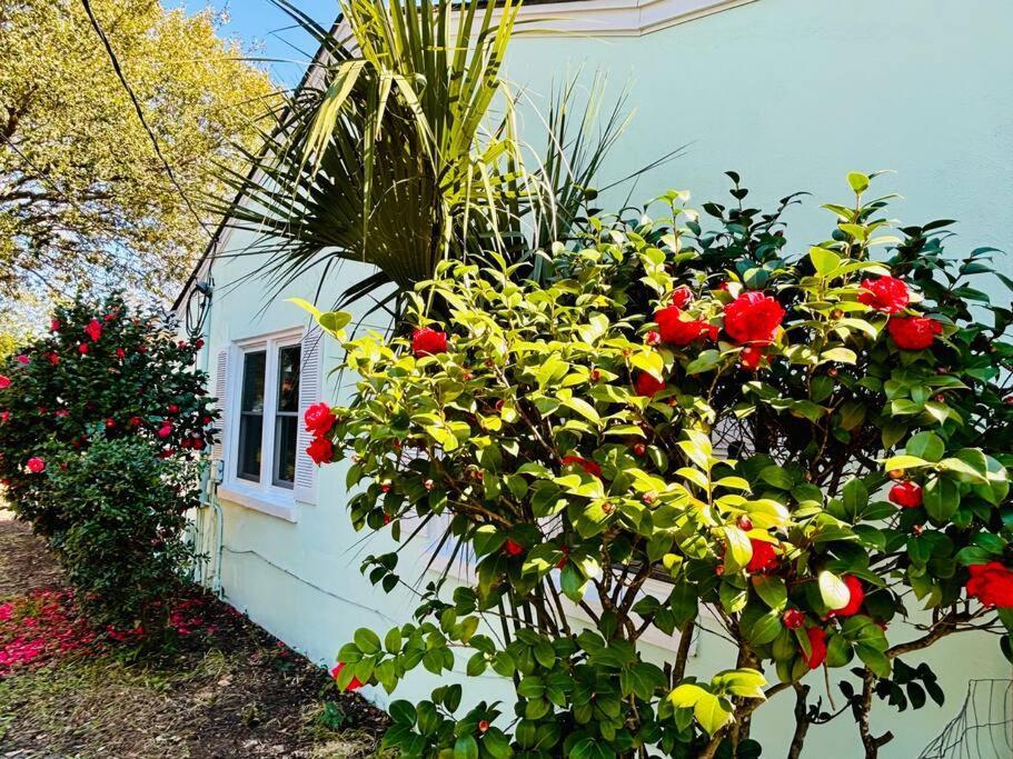 Charming Coastal Retreat Pets Are Welcome Holiday home
