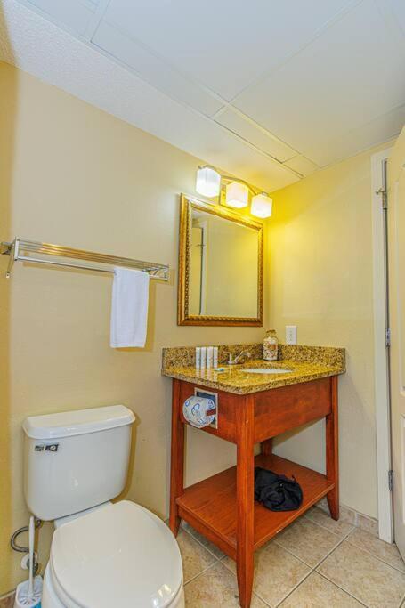 New! Carolinian 2/2 Of Master Free Parking & Wi-fi
