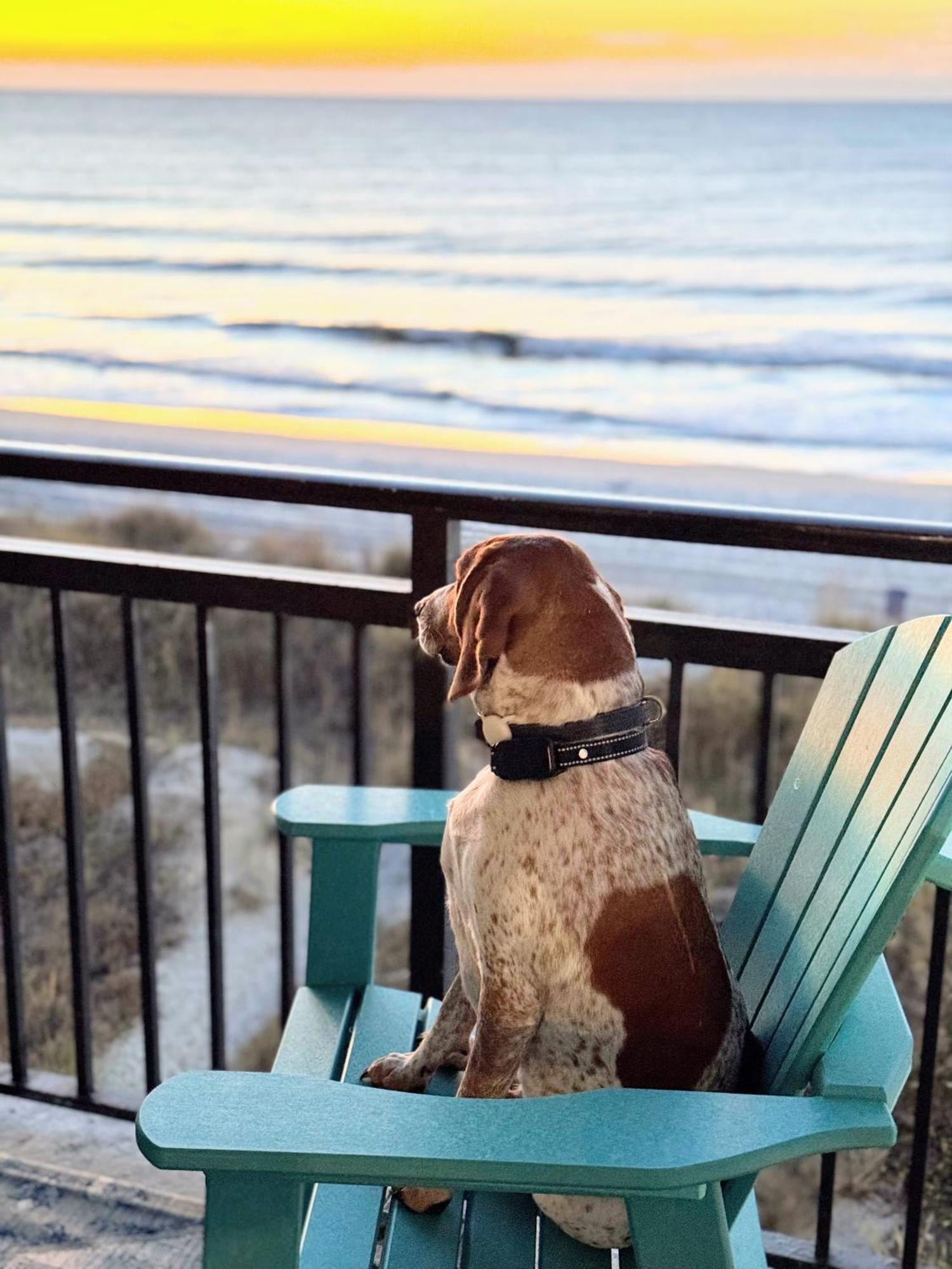 Oceanfront 3br/2ba Dog Friendly Apartment Myrtle Beach