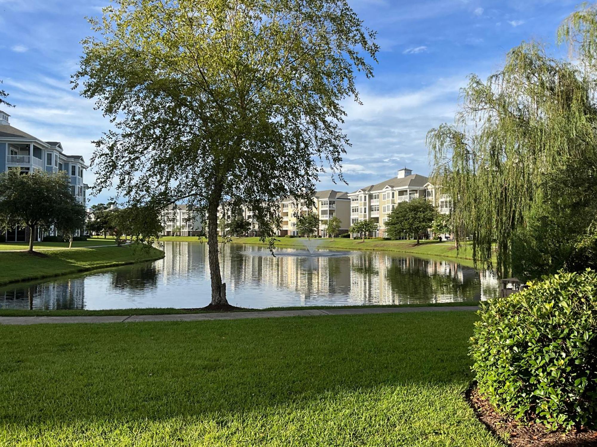 Myrtlewood By Monarch *